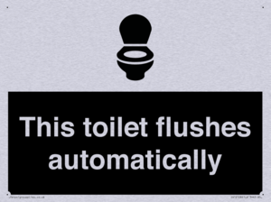 This toilet flushes automatically